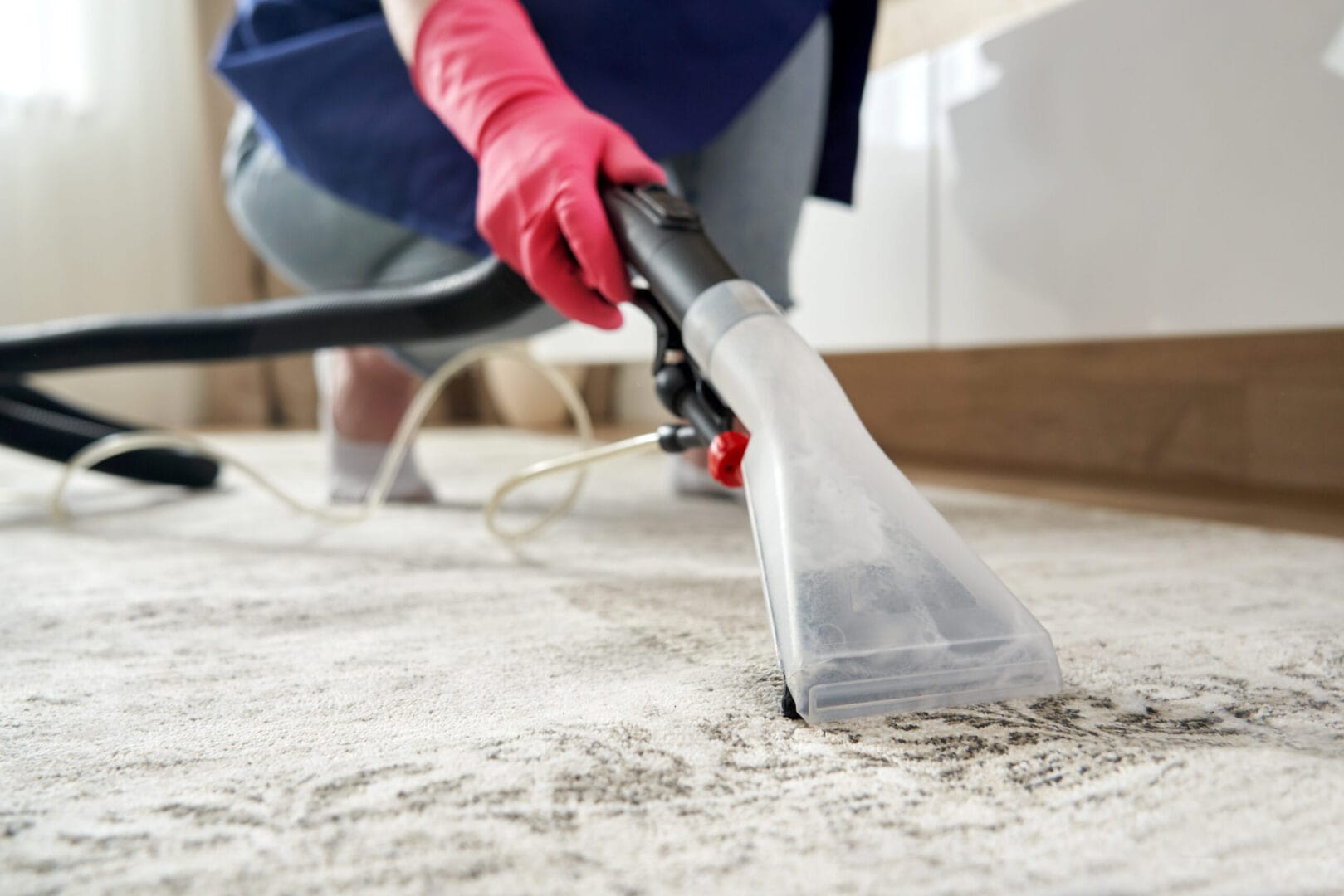 Professional Carpet Cleaning